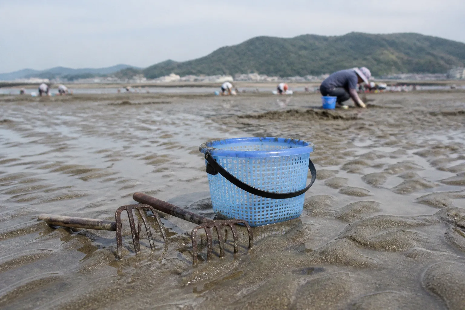 潮干狩りの持ち物：初心者でも失敗しない必須道具と快適装備