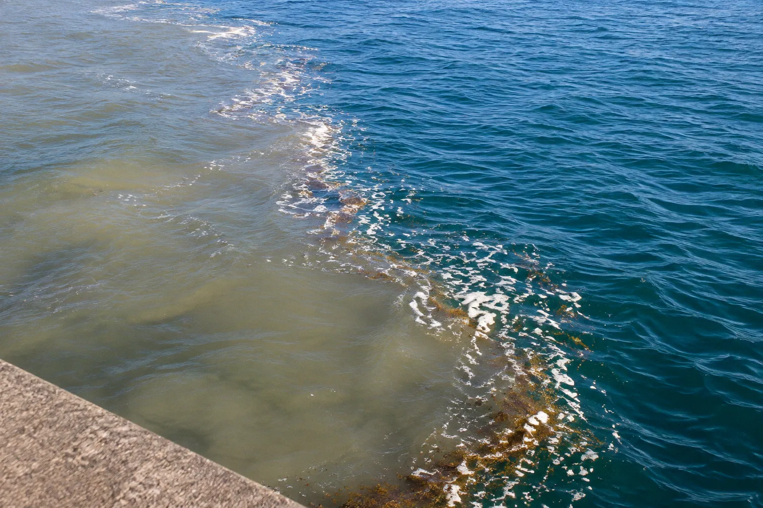 堤防釣りの「潮目」はどう生まれるか：海流の衝突と小魚が集まる物理の仕組み