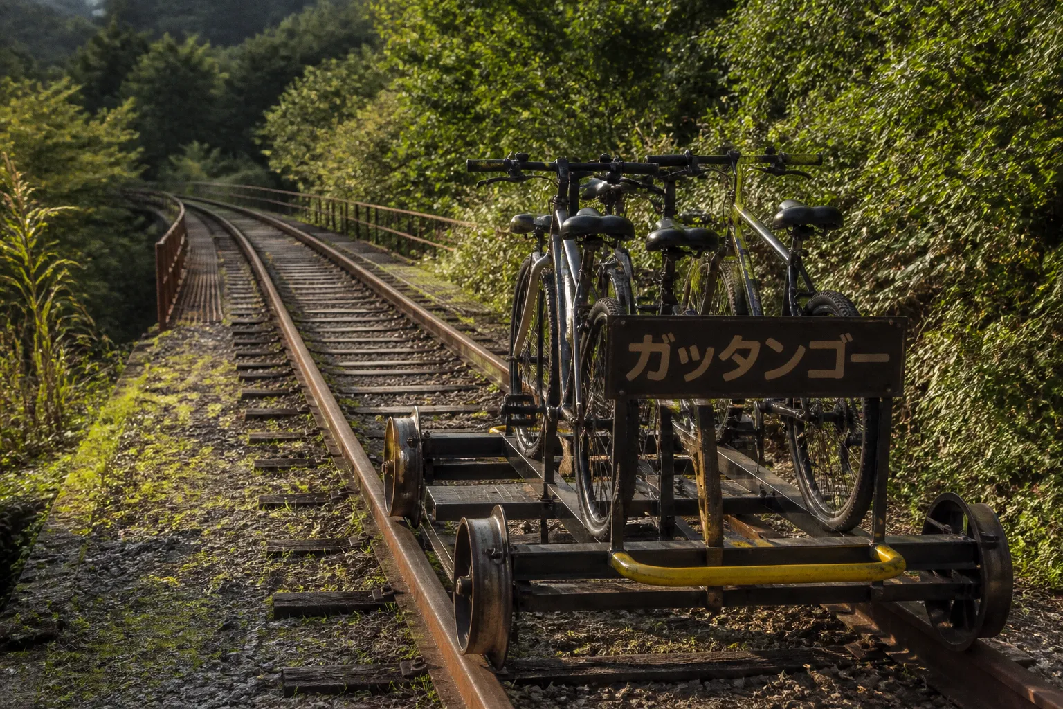 廃線から生まれた「ガッタンゴー」：岐阜のローカル鉄道が自転車アクティビティとして復活した軌跡
