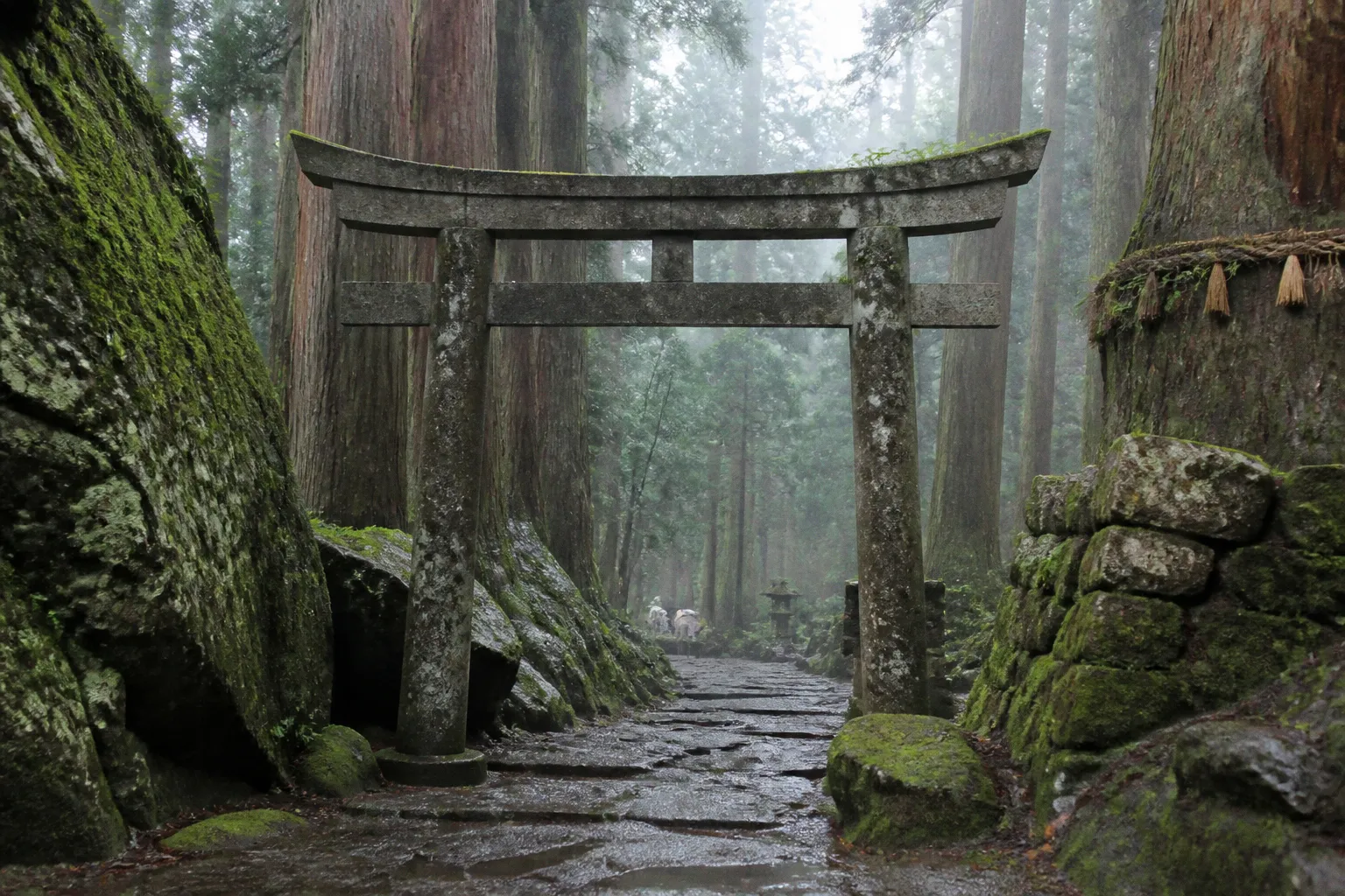 パワースポットの属性相性説：繭気属性の根拠と旅を楽しむ捉え方