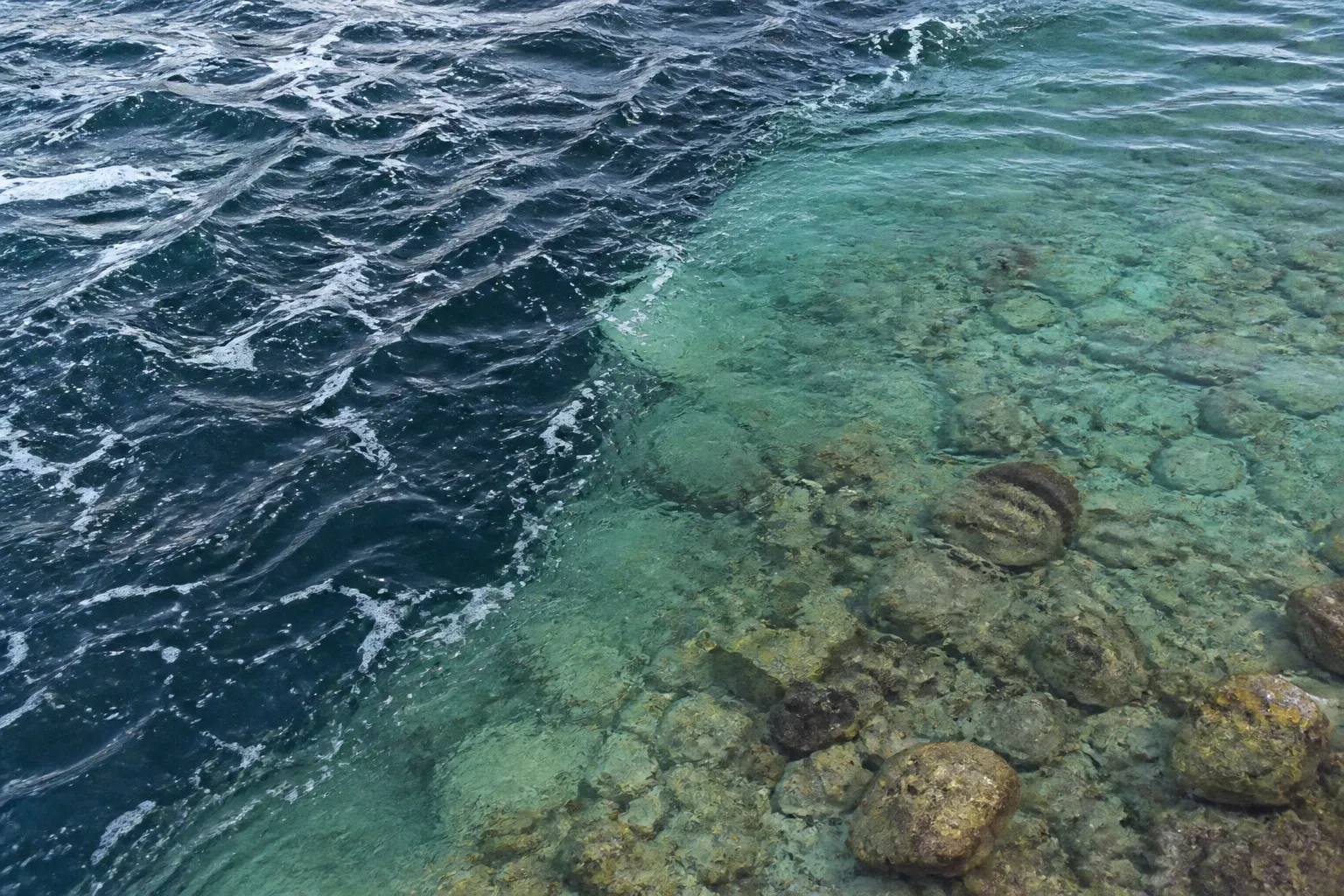 ライトショアジギングで潮目と海底地形が魚を引き寄せる仕組み