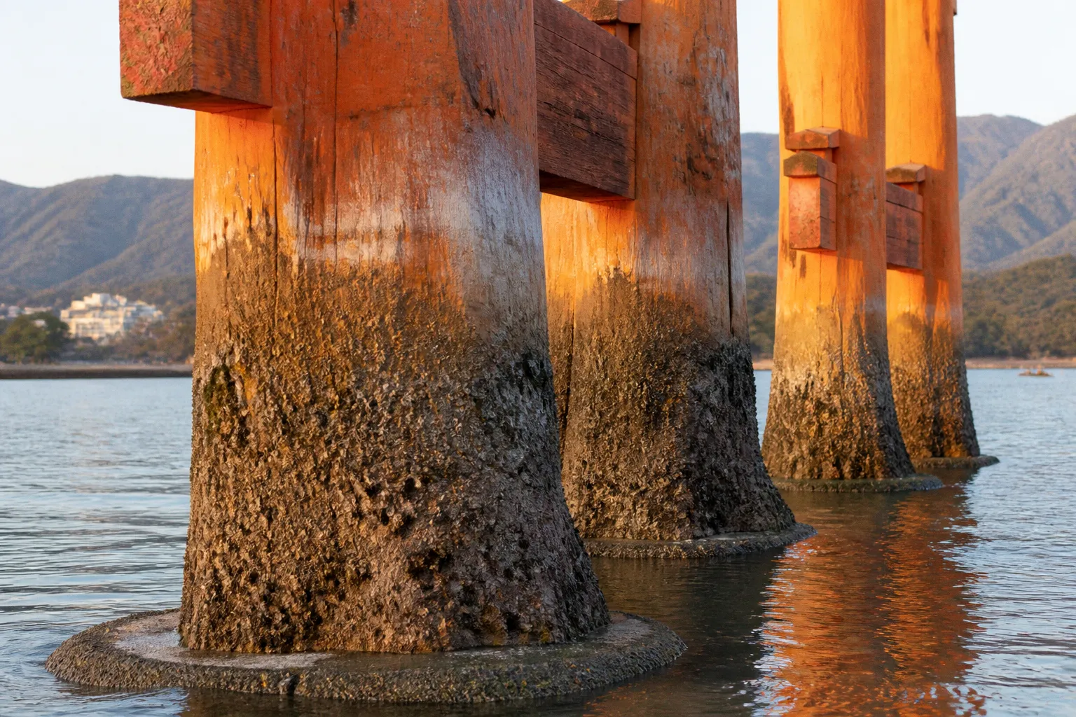 厳島神社の大鳥居はなぜ海の中で倒れない？自立を支える構造と先人の知恵